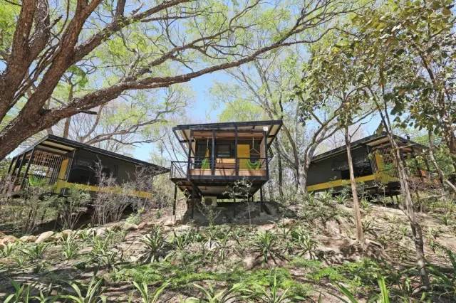 工業遺產新生：集裝箱改造如何塑造現代城市風景線